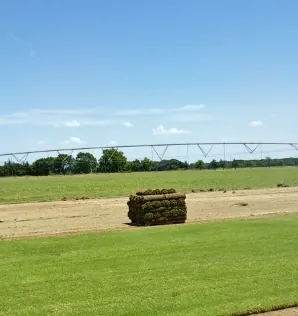 Fresh-cut turf proof from a family-run farm that customers can count on.
