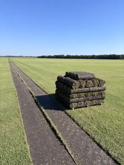Healthy turf, clean harvests, and delivery-ready grass for better first impressions.