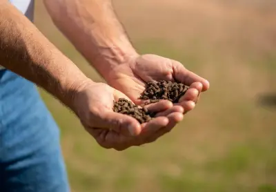 Quality starts at the source with selected turf material and careful farm standards.