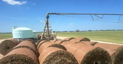 The field discipline behind reliable turf orders, stronger lawns, and repeat customers.