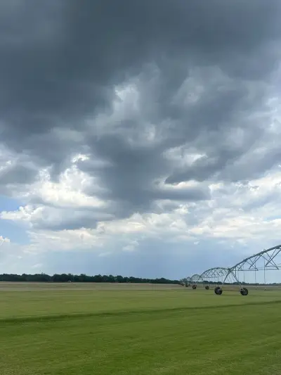 Fresh-cut turf proof from a family-run farm that customers can count on.