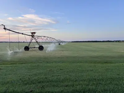 Healthy turf, clean harvests, and delivery-ready grass for better first impressions.