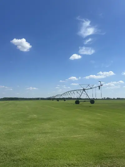 Fresh-cut turf proof from a family-run farm that customers can count on.