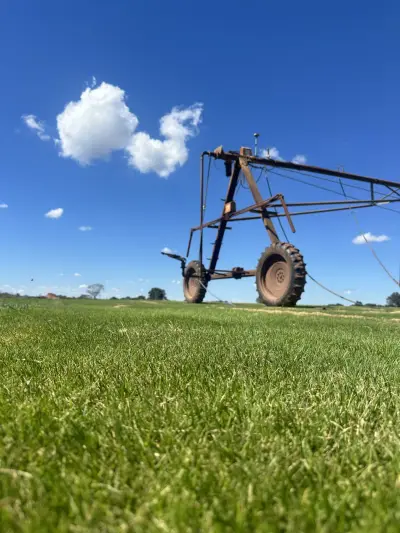 Field-tested quality moving from our rows to customer properties across DFW.