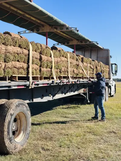 Healthy turf, clean harvests, and delivery-ready grass for better first impressions.