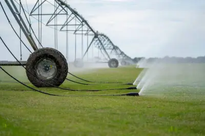 Fresh-cut turf proof from a family-run farm that customers can count on.