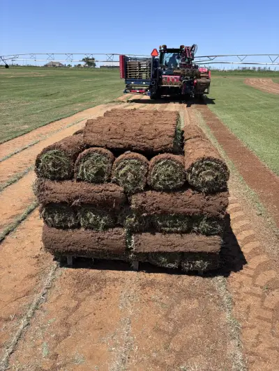 Fresh-cut turf proof from a family-run farm that customers can count on.