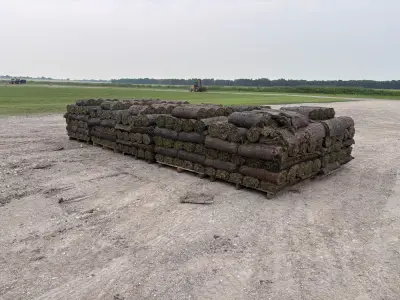 Field-tested quality moving from our rows to customer properties across DFW.