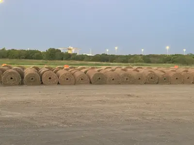 Fresh-cut turf proof from a family-run farm that customers can count on.