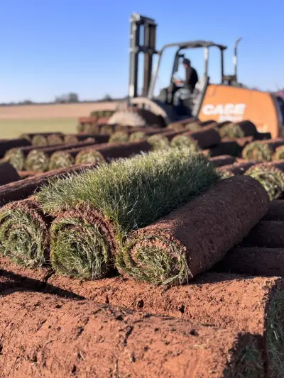 Field-tested quality moving from our rows to customer properties across DFW.