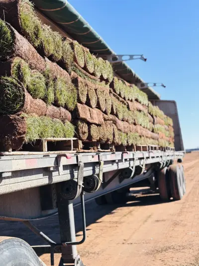 Healthy turf, clean harvests, and delivery-ready grass for better first impressions.