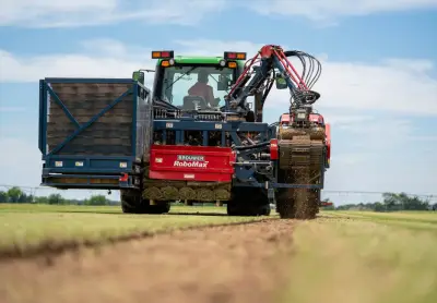 Fresh-cut turf proof from a family-run farm that customers can count on.