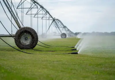Healthy turf, clean harvests, and delivery-ready grass for better first impressions.