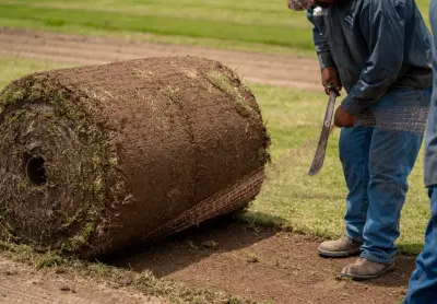 The field discipline behind reliable turf orders, stronger lawns, and repeat customers.