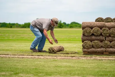 Fresh-cut turf proof from a family-run farm that customers can count on.