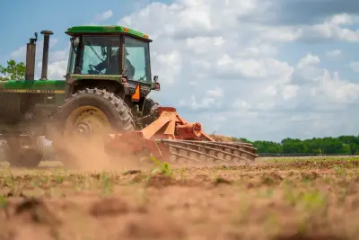 Healthy turf, clean harvests, and delivery-ready grass for better first impressions.