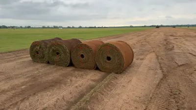 Healthy turf, clean harvests, and delivery-ready grass for better first impressions.