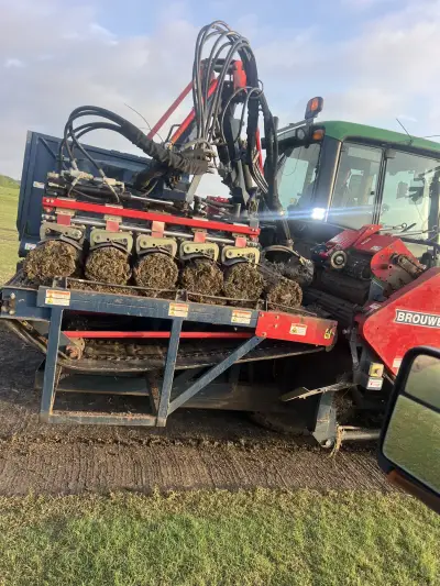 Fresh-cut turf proof from a family-run farm that customers can count on.
