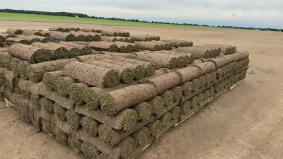 Field-tested quality moving from our rows to customer properties across DFW.