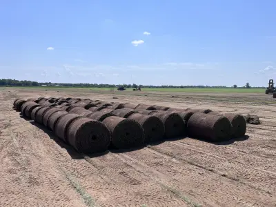 Field-tested quality moving from our rows to customer properties across DFW.
