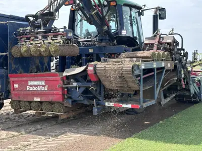 Fresh-cut turf proof from a family-run farm that customers can count on.