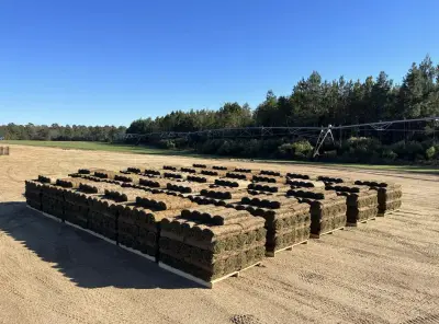 Field-tested quality moving from our rows to customer properties across DFW.