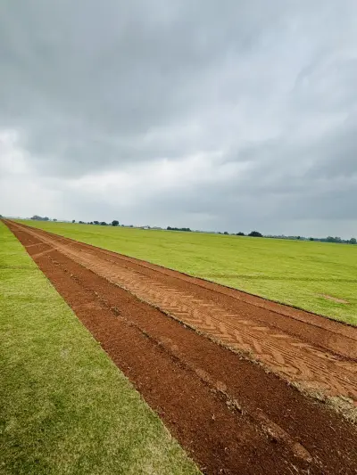 Healthy turf, clean harvests, and delivery-ready grass for better first impressions.