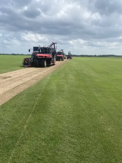 Healthy turf, clean harvests, and delivery-ready grass for better first impressions.