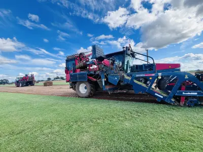 Healthy turf, clean harvests, and delivery-ready grass for better first impressions.