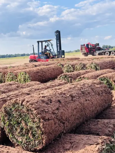 Fresh-cut turf proof from a family-run farm that customers can count on.