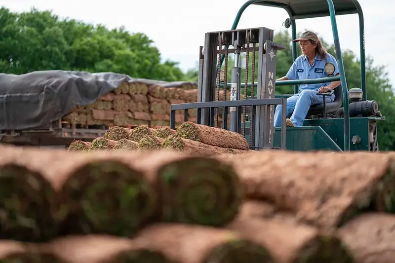 Buena Vista Turf farm production field
