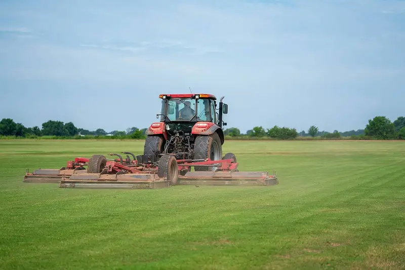 Wide farm view showing Buena Vista Turf operations
